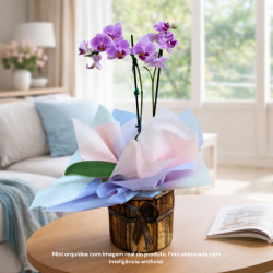 Mini Orquídea 2 Hastes Pote 9 "Cor variada"